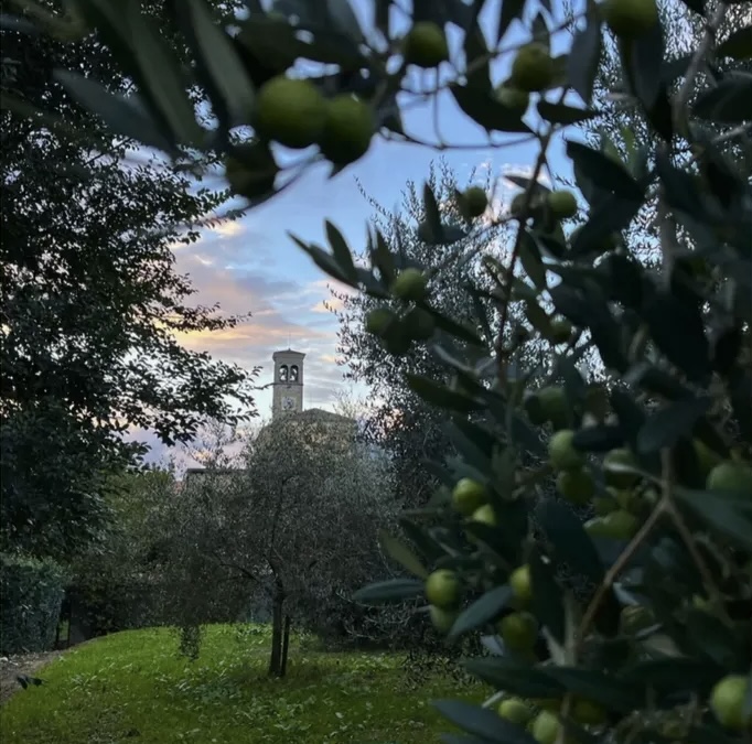 Degustazione-olio-evo