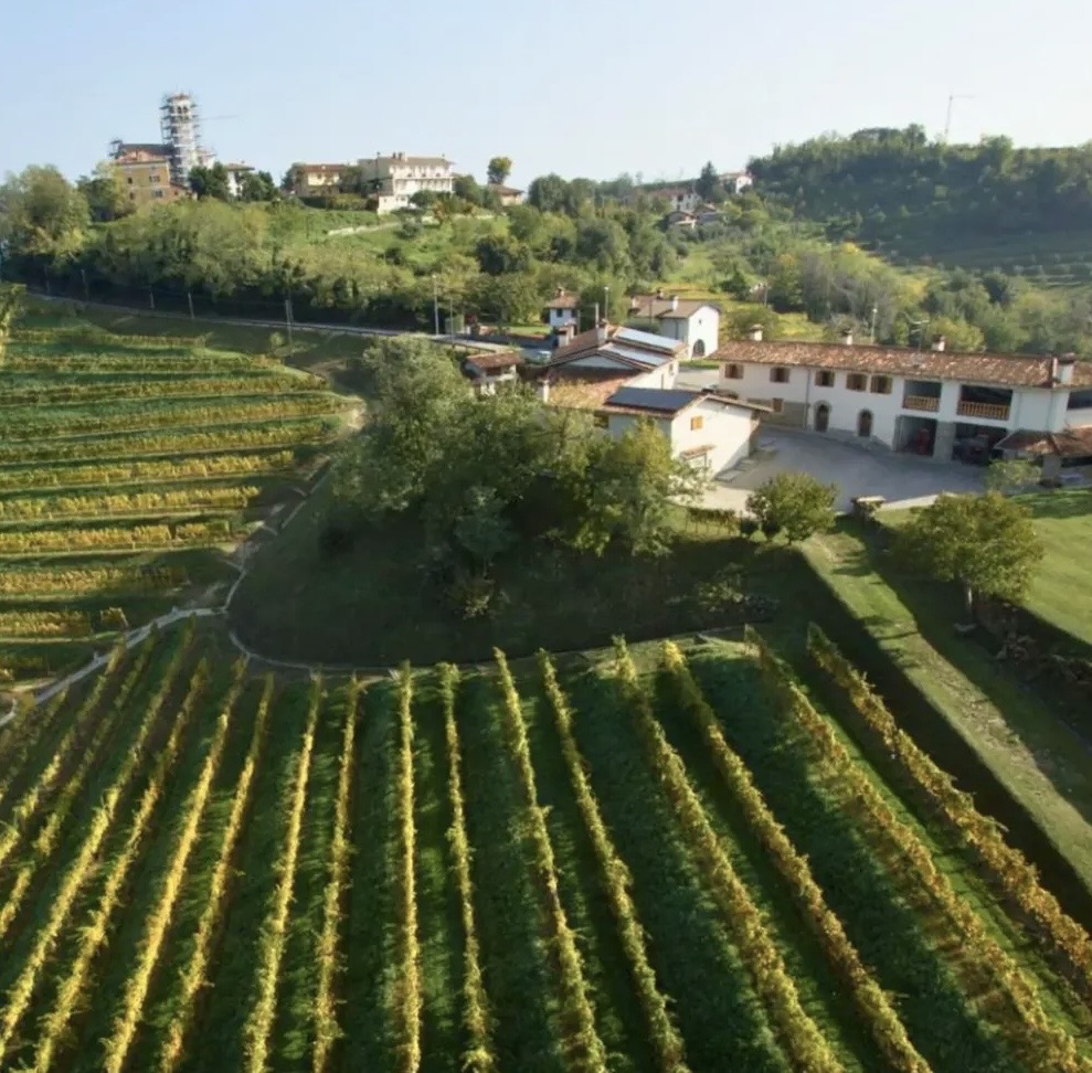 collio_pascolo